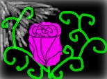 the_violet_rose