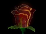 "trandafir"