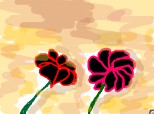flori de muscata