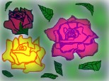 imaginatie trandafirii