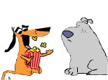 two stupid dogs