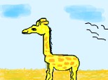 puiut de girafa