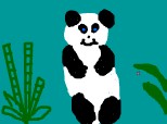 ursuletul panda