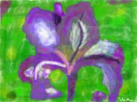 iris violet pt mama ;;);;);*