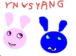 yn versus yang