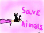 save  animals