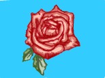 Desen 63493 continuat:rose