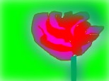 un trandafir pt teodorika,iulia_samia,si pantera-roz