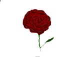 Desen 52495 continuat:trandafir