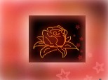 .....my rose.....
