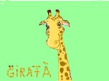 o girafa draguta