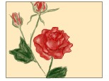 Desen 75512 continuat:trandafir