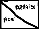 PACHIRISU VS PICHU