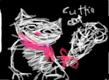 cuttie cat