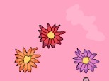 3 Floricele
