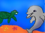 un delfin si o broasca testoasa