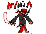 Neostar Ninja