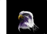 eagle(imbunatatit:D