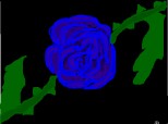 trandafir blue
