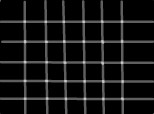 iluzie optica...kate punkte negre sunt?