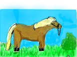 un poney dragut