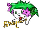 shaymin