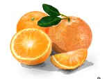 portocale