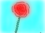 trandafiru`