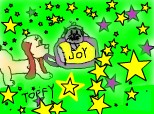 toffy& Joy