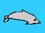 un delfin...