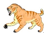 saber tooth tiger