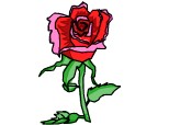 trandafir (facut de regina2000)