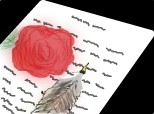 rose letter
