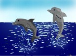 doi delfinasi ce sar din apa