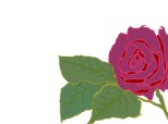 Desen 4560 modificat:trandafir