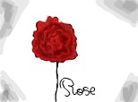 Rose:x