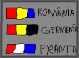 Romani Germania Franta