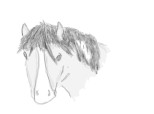 Un pony