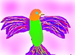 papagal colorat