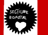 sectiune ropotal