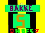 JON BAKKE(NOR)  NBFC 2011