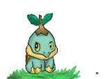 pokemon turtwig -sta pe iarba ... dragutul  de el