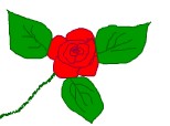 trandafir de la moldova
