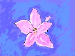 o floare