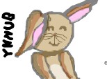 Bunny Anime