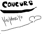 concurs yin yang yo