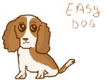 easy dog