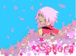 Sakura...