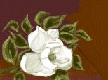 Desen 12563 modificat:magnolie