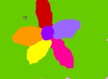 floare in moolte culori